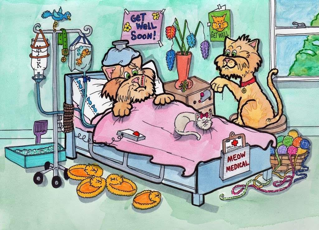 TeensyToons | 5416 Bryce Canyon Dr, Kissimmee, FL 34758, USA | Phone: (435) 229-0995