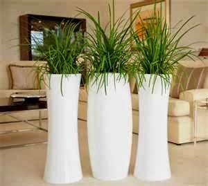 San Diego Interior Plants | 924 Encinitas Blvd #15, Encinitas, CA 92024, USA | Phone: (760) 632-6320