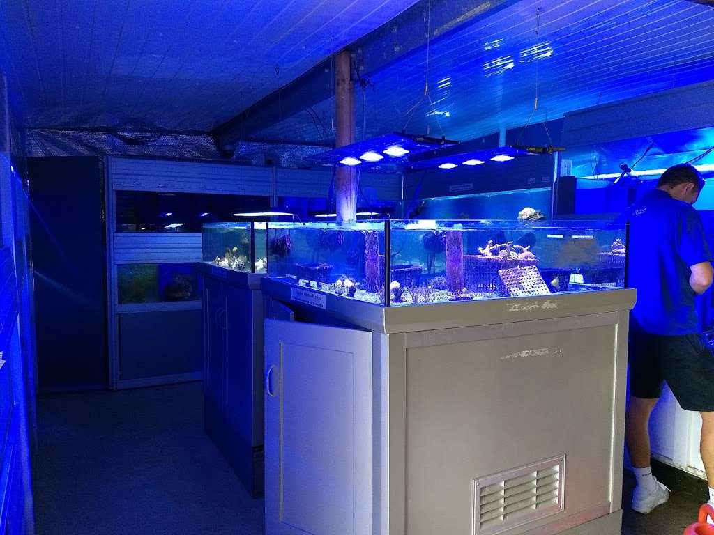 Tatsfields Aquatics Ltd | Waylands Farm/Tatsfield Approach Rd, Tatsfield, Westerham TN16 2JT, UK | Phone: 01959 571828