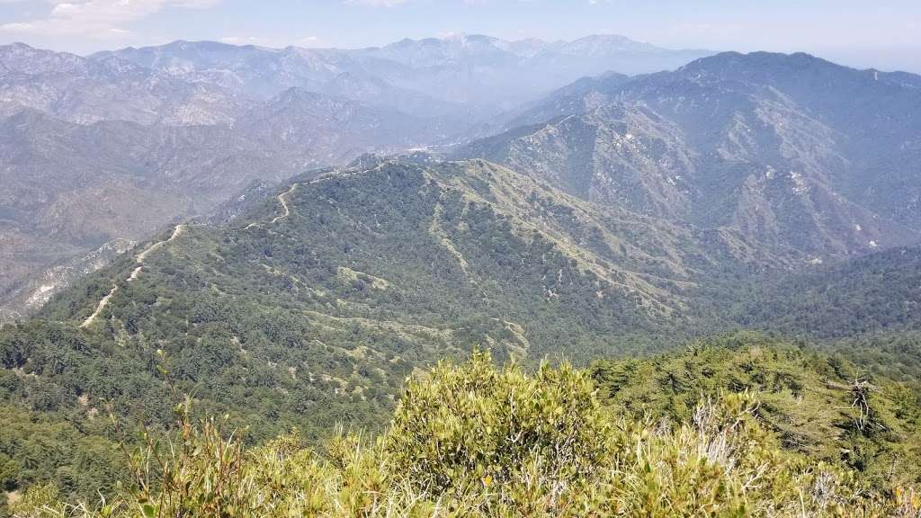 Rim Trailhead | Rim Trail, Mt Wilson, CA, USA