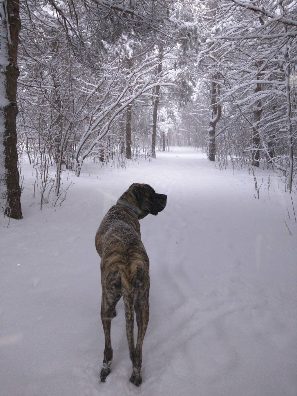 Battle Creek West | Battle Creek Bike Trail, St Paul, MN 55119, USA | Phone: (651) 266-6400