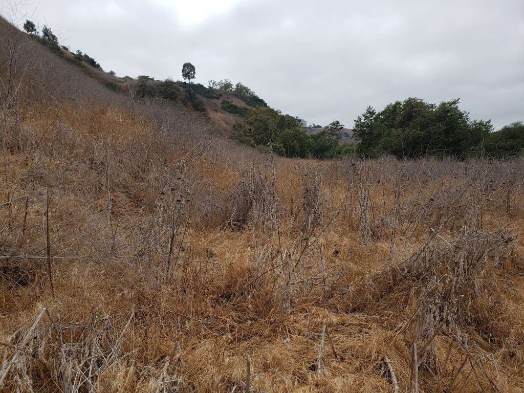 Lopez Canyon Trail | San Diego, CA 92121, USA