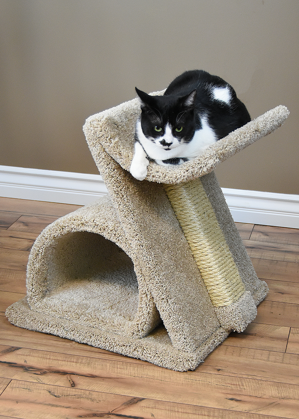 Cats Are Inn-Low Cost Factory Outlet Cat Trees | 2 W Topeka Dr, Phoenix, AZ 85027 | Phone: (623) 980-2077