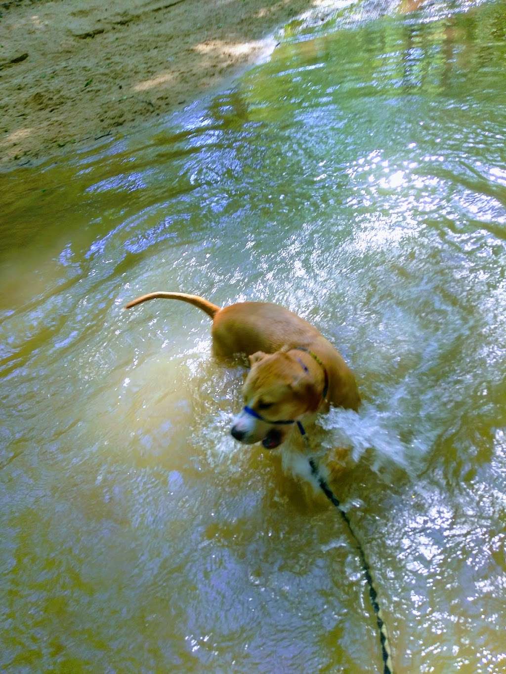 Baker's Creek Park 1275 W A St, Kannapolis, NC 28081, USA BusinessYab