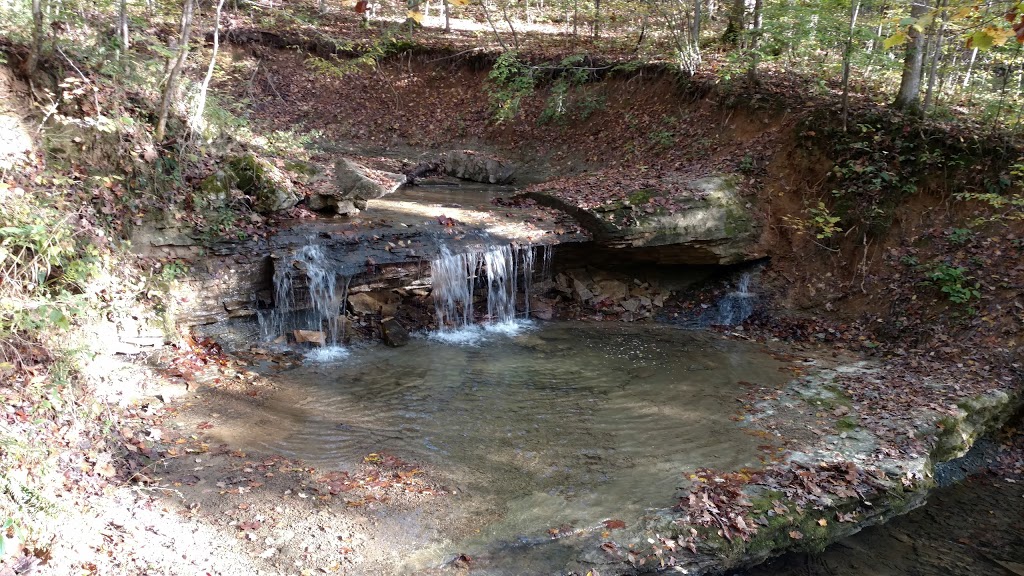 Morgan-Monroe State Forest | Martinsville, IN 46151, USA | Phone: (765) 342-4026