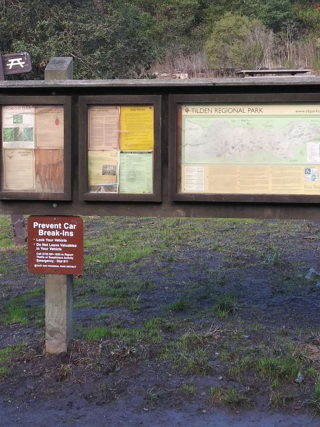 Loop Road Parking | Charles Lee Tilden Regional Park, Berkeley, CA 94708