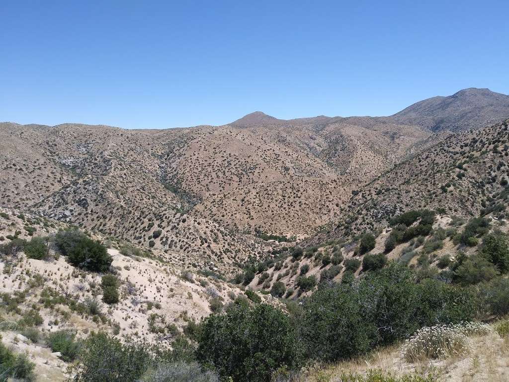 Bradford Ridge Path / Deep Creek Trailhead | CA-173, California, USA