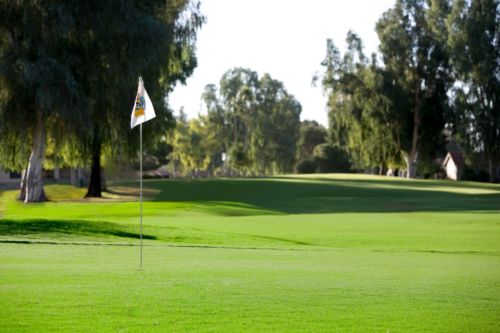 Leisure World Country Club | 1548 Leisure World, Mesa, AZ 85206, USA | Phone: (480) 832-0003