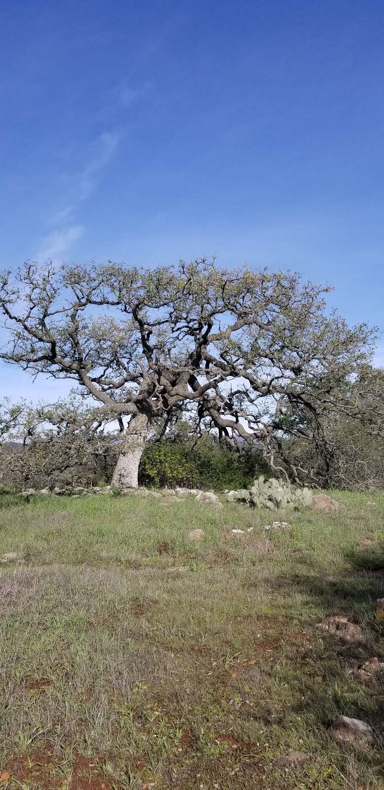 Vernal Pool Trailhead | 43311 Vía Volcano, Temecula, CA 92590, USA | Phone: (951) 677-6951