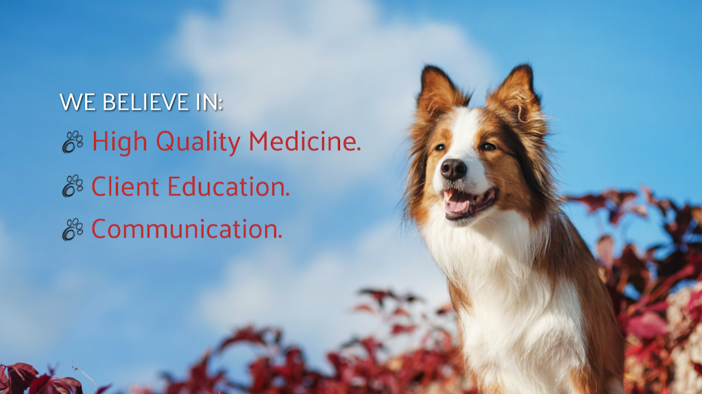 Norbeck Animal Clinic | 1023, 2645 Norbeck Rd, Silver Spring, MD 20906, USA | Phone: (301) 924-2416