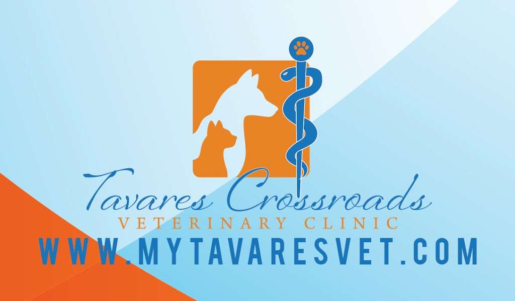 Tavares Crossroads Veterinary Clinic | 2030 State Road 19, Tavares, FL 32778 | Phone: (352) 343-0300