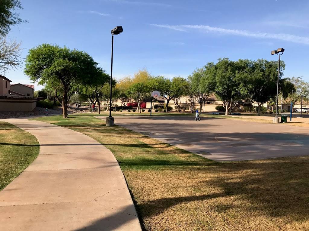 Park | 2517 E Amanda Blvd, Chandler, AZ 85249, USA