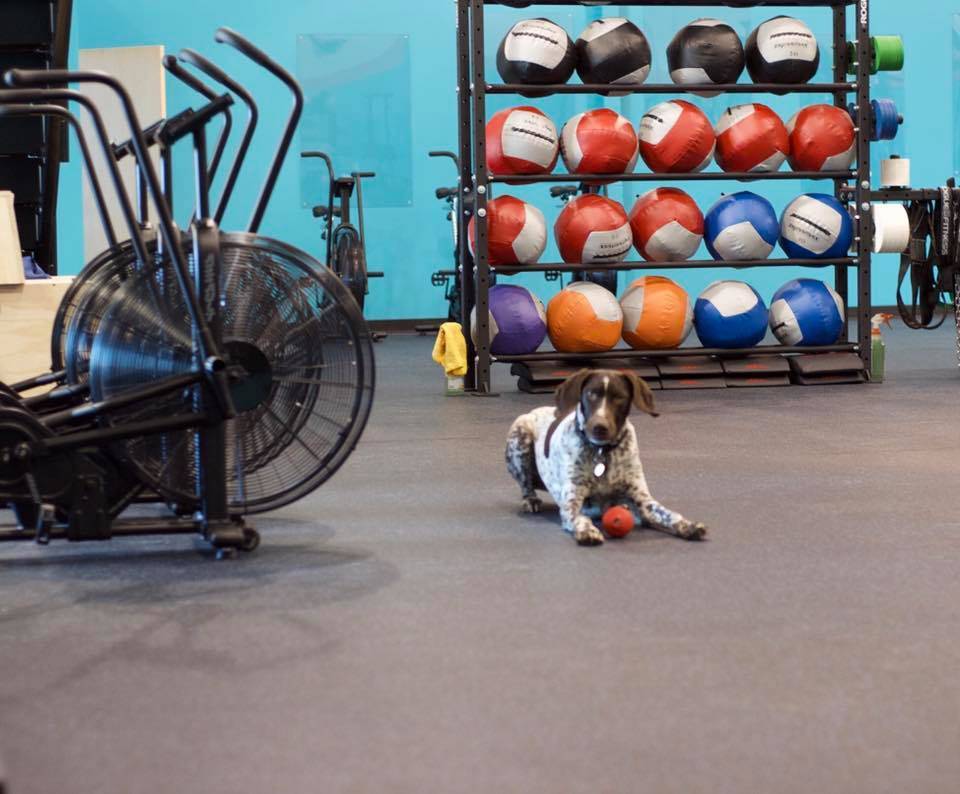 Redox CrossFit | 1530 E 59th Ave, Anchorage, AK 99507, USA | Phone: (907) 202-5658