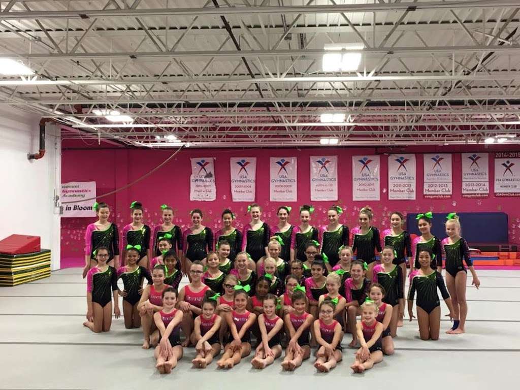 Gemini Gymnastics Academy | 330 Washington Ave, La Grange, IL 60525 | Phone: (708) 352-2977