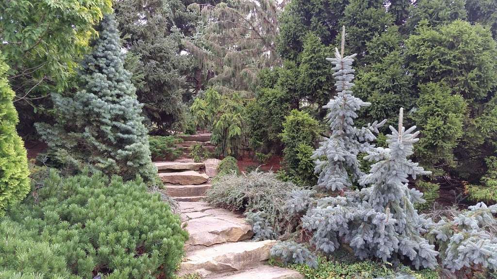 Dwarf Conifer Garden | Glencoe, IL 60022, USA