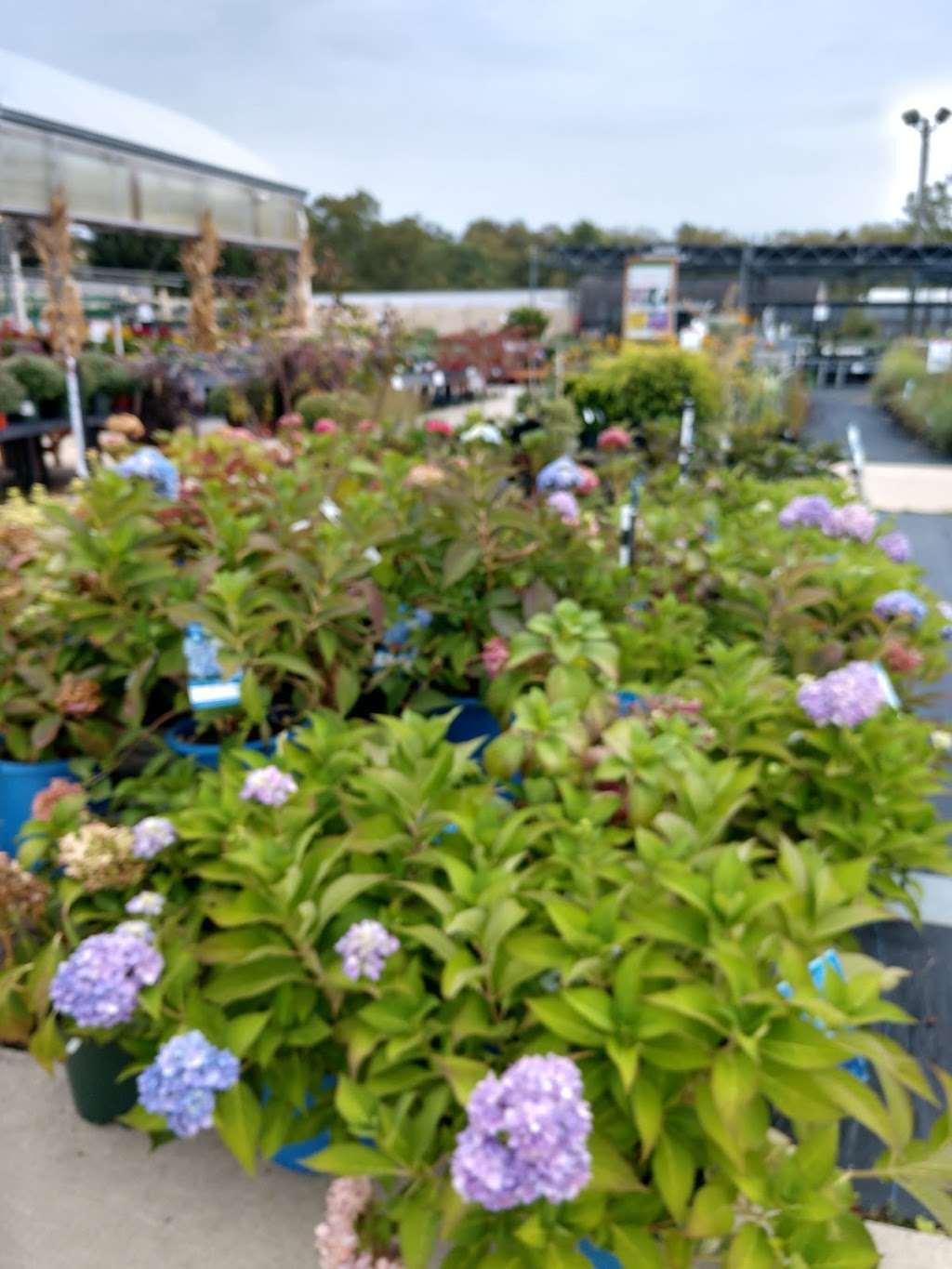 Stauffers of Kissel Hill Home & Garden Store - East York Locatio | 4450 Lincoln Hwy, York, PA 17406, USA | Phone: (717) 840-4026