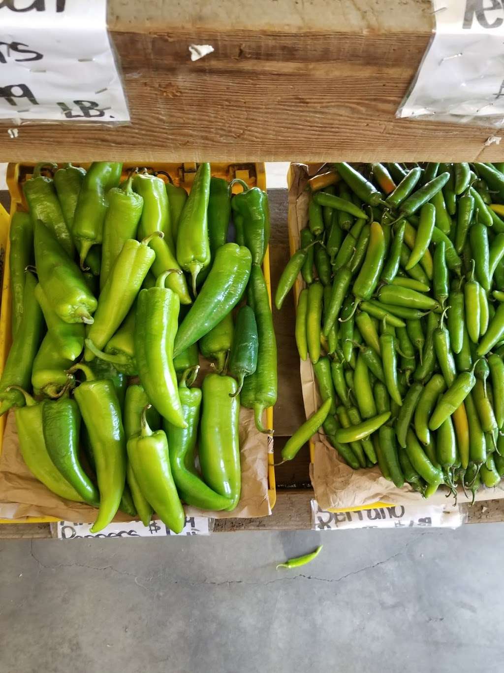 Rodela Produce and Flowers | 4550 Olivas Park Dr, Ventura, CA 93003, USA | Phone: (805) 844-9174