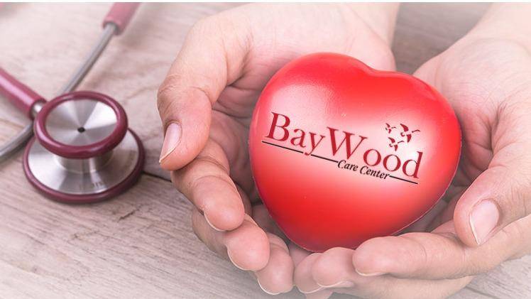 Baywood Care Center | 2000 17th Ave S, St. Petersburg, FL 33712, USA | Phone: (727) 821-3544