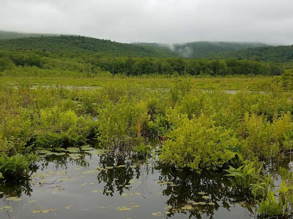 Basha Kill Wildlife Refuge | S Rd, Wurtsboro, NY 12790, USA