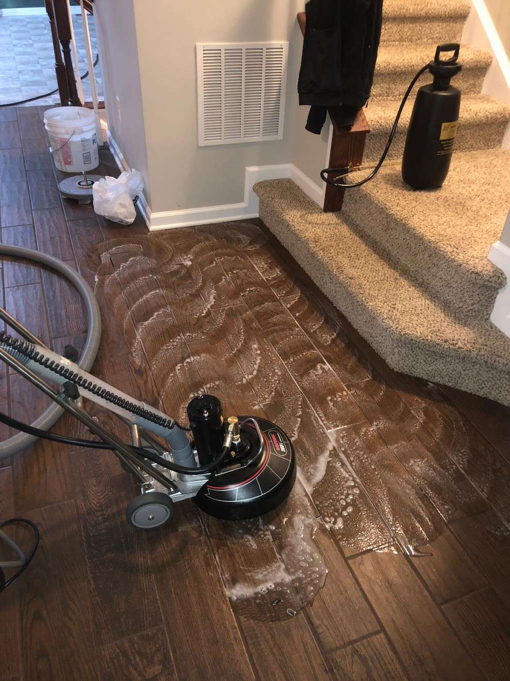 Citrus A Peel Carpet Cleaning | 8 Lloyd Pl, Oakhurst, NJ 07755, USA | Phone: (732) 268-0258