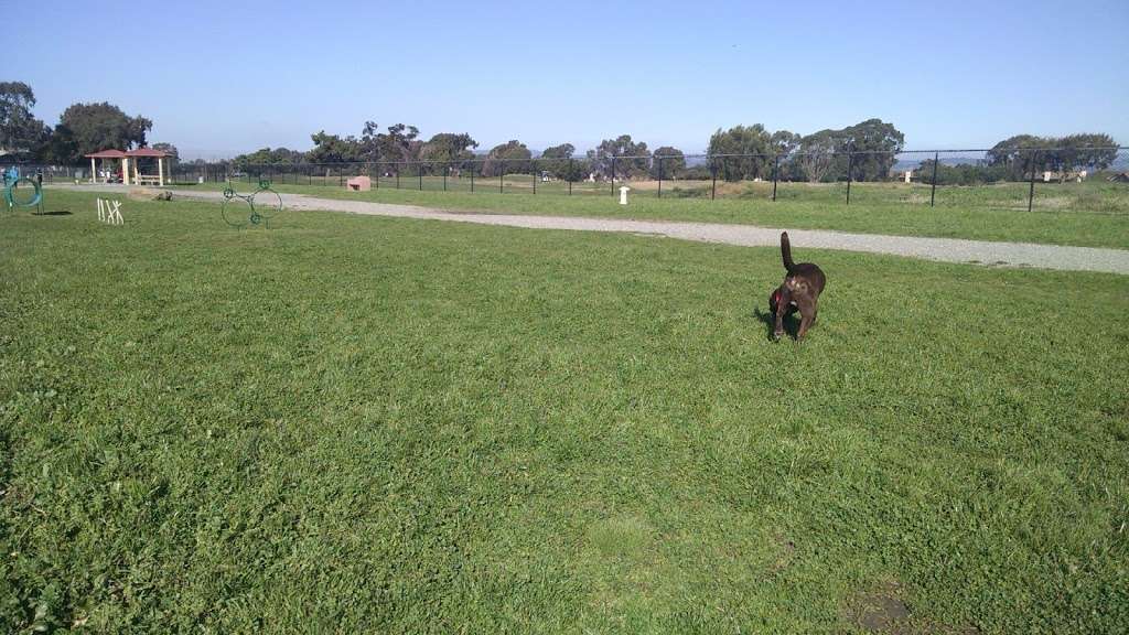 Marina Dog Park | Marina Park,, Monarch Bay Dr, San Leandro, CA 94577