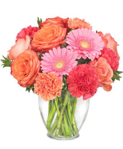 Belleview Florist Inc | 10693 SE 58th Ave, Belleview, FL 34420, United States | Phone: (352) 245-3857