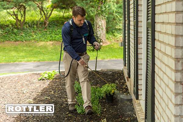 Rottler Pest & Lawn Solutions | 1100 W Cambridge Cir Dr Suite 900, Kansas City, KS 66103, USA | Phone: (816) 746-1151