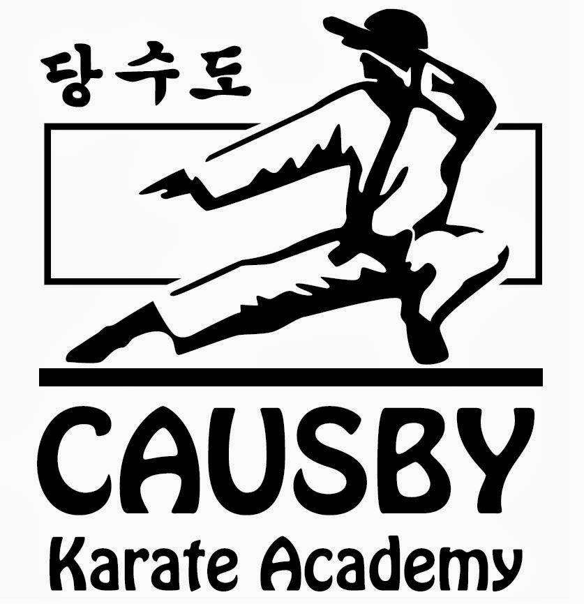 Causby Karate Academy | 3634 N Hwy 16 Business, Denver, NC 28037, USA | Phone: (704) 898-7637