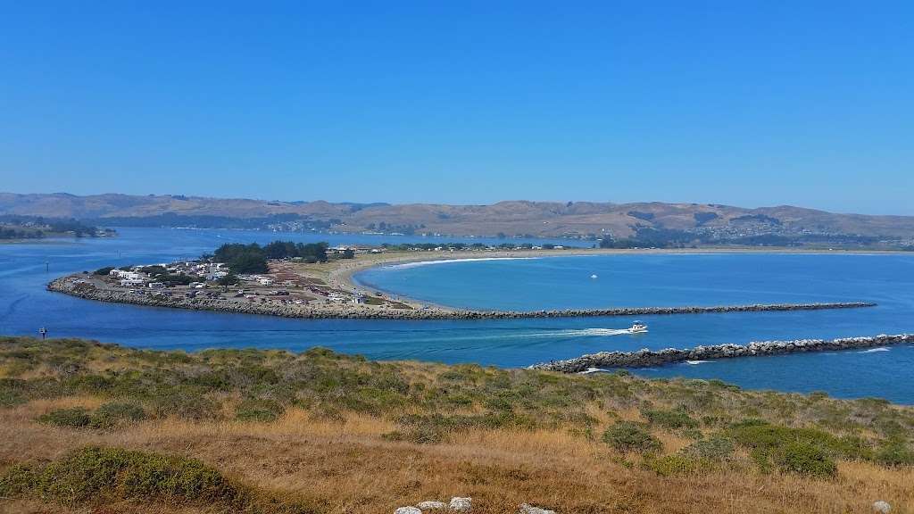 Doran Regional Park | 201 Doran Beach Rd, Bodega Bay, CA 94923 | Phone: (707) 875-3540