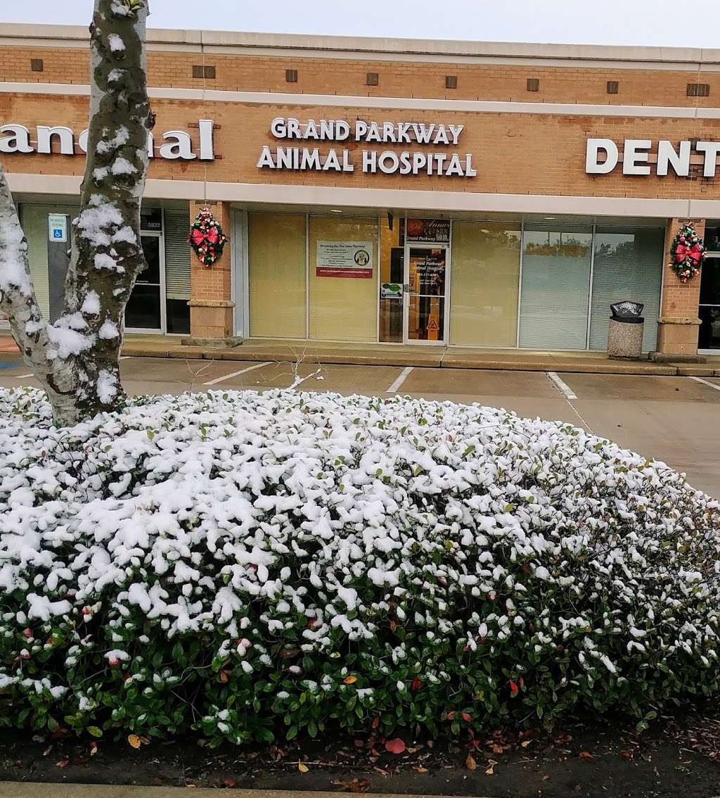 Grand Parkway Animal Hospital | 5818 New Territory Blvd, Sugar Land, TX 77479, USA | Phone: (281) 277-8387