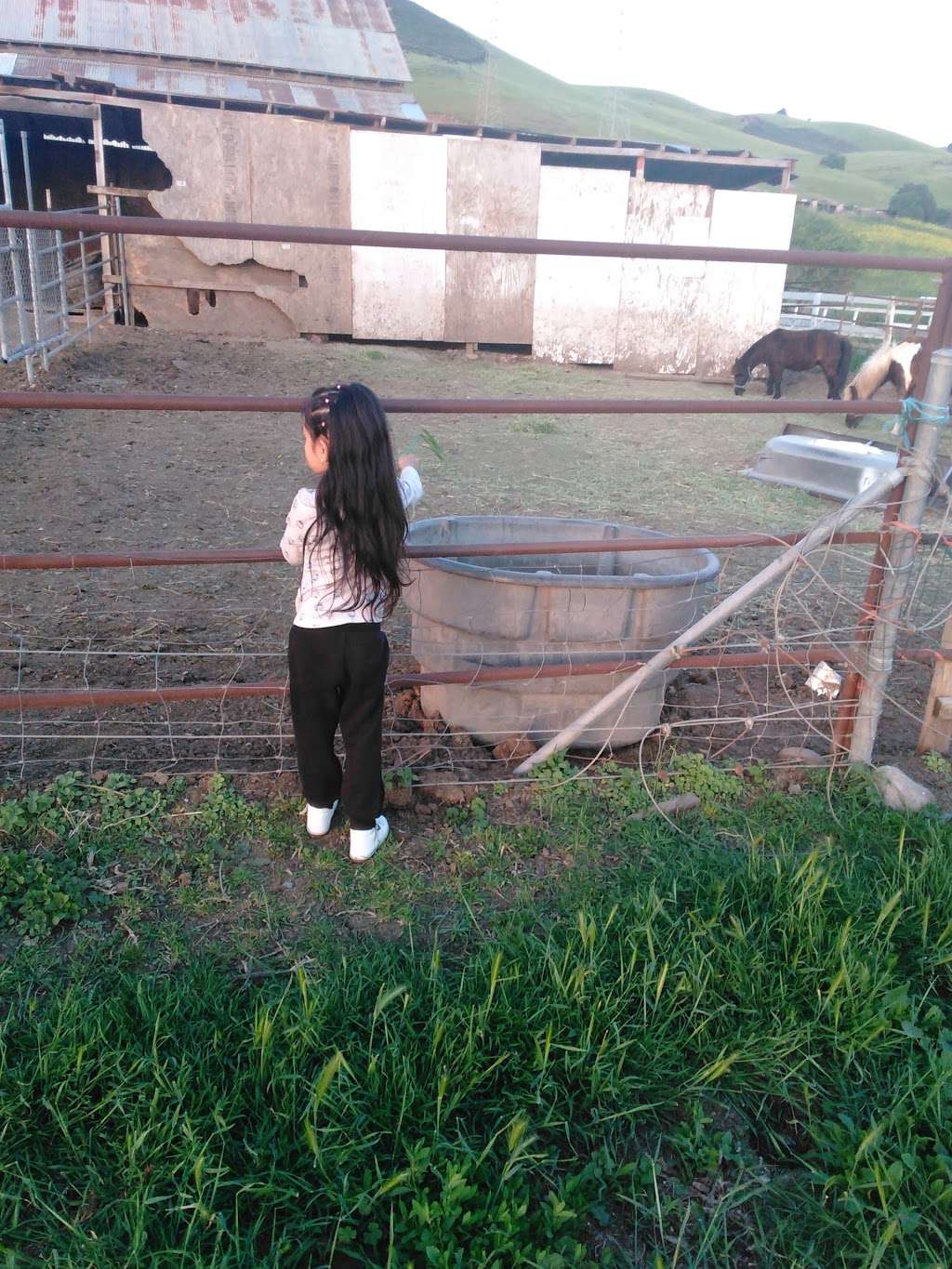 Coyote Creek Trail | Coyote Creek Trail, San Jose, CA 95138, USA