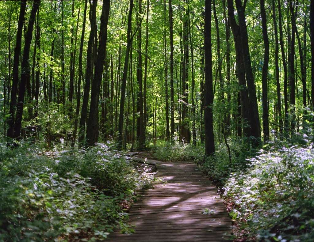 Five Mile Woods Preserve Headquarters | 1305 Big Oak Rd, Yardley, PA 19067, USA | Phone: (215) 493-6652