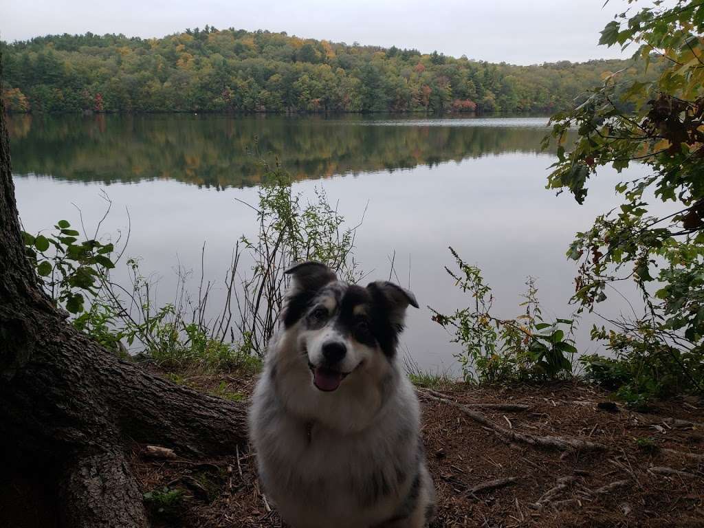 Gates Pond Reservoir Loop Trail | 99 Taylor Rd, Berlin, MA 01503, USA