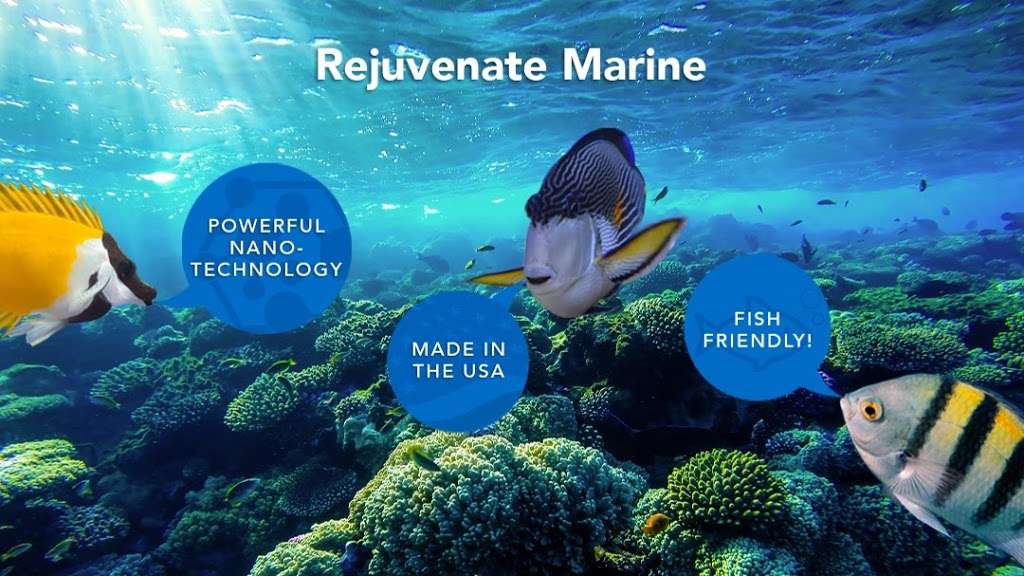 Rejuvenate Marine | 2301 SW 145th Ave, Miramar, FL 33027, USA | Phone: (877) 959-1234