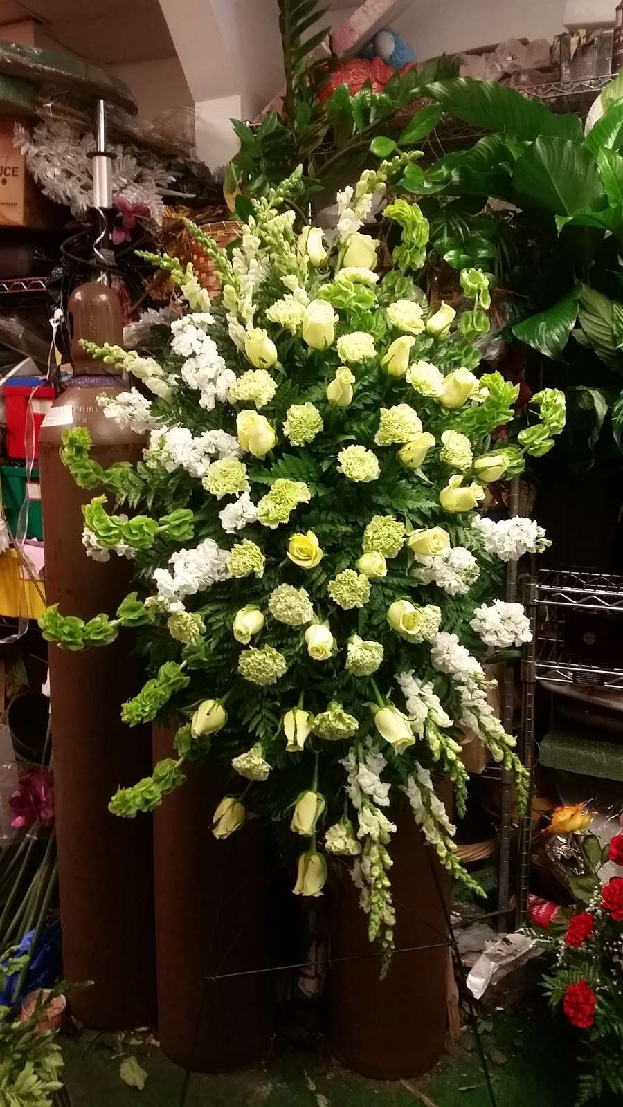 Minnesota Florist | 4181 Minnesota Ave NE, Washington, DC 20019, USA | Phone: (202) 397-4964