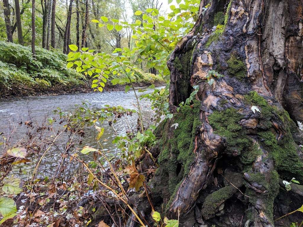 Cherry Creek Crossing Loop Trail | Oak St, Delaware Water Gap, PA 18327, USA