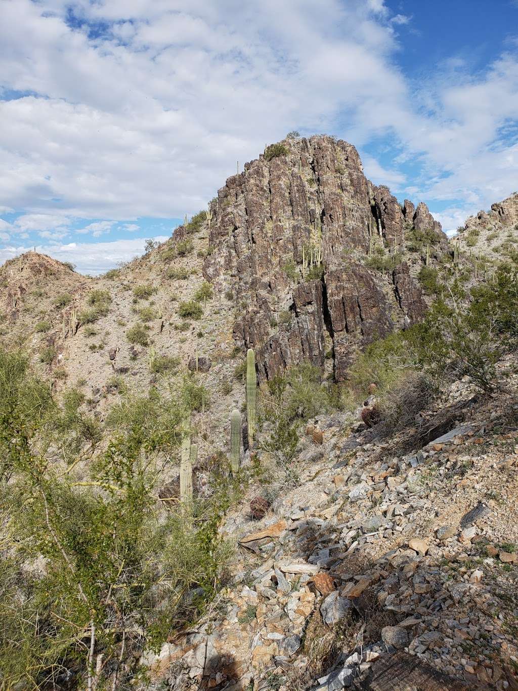 Phoenix Mountains Preserve | 2701 E Squaw Peak Dr, Phoenix, AZ 85028, USA | Phone: (602) 261-8318