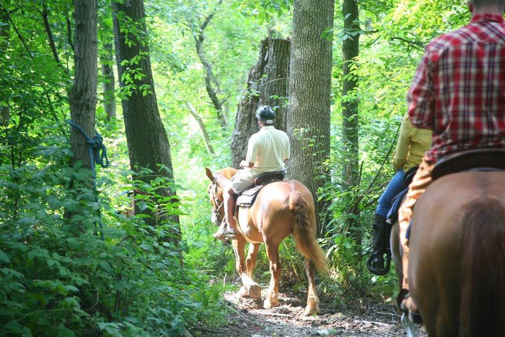 Happy on Hooves | 5014 Mt Carmel Rd, Hampstead, MD 21074, USA | Phone: (443) 507-6558