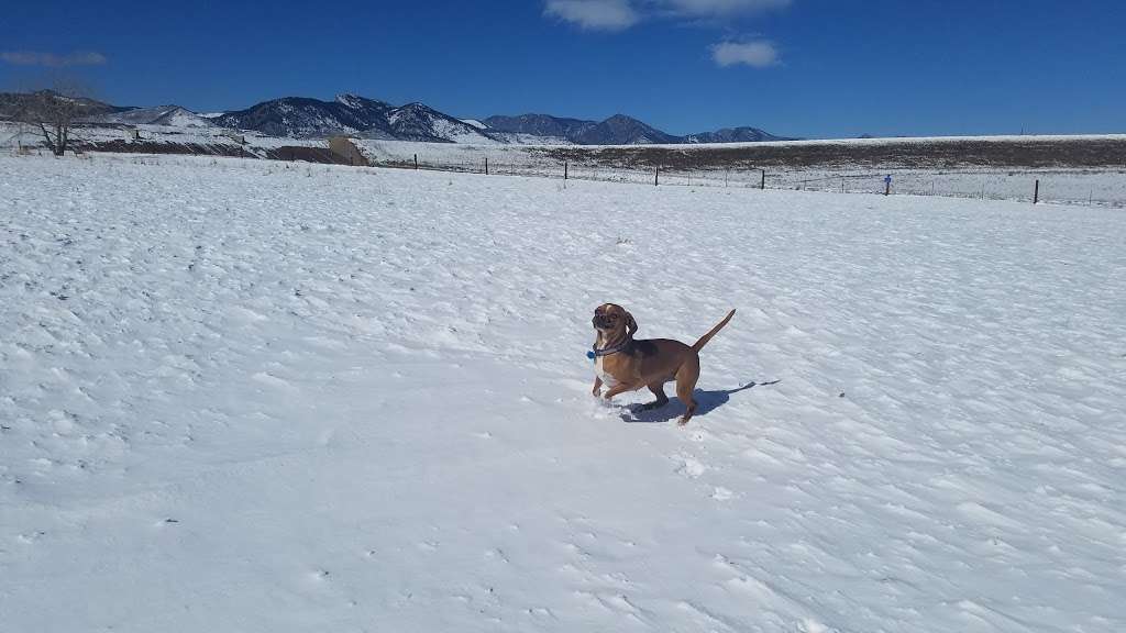 West Arvada Dog Park | 17975 W 64th Ave, Arvada, CO 80403