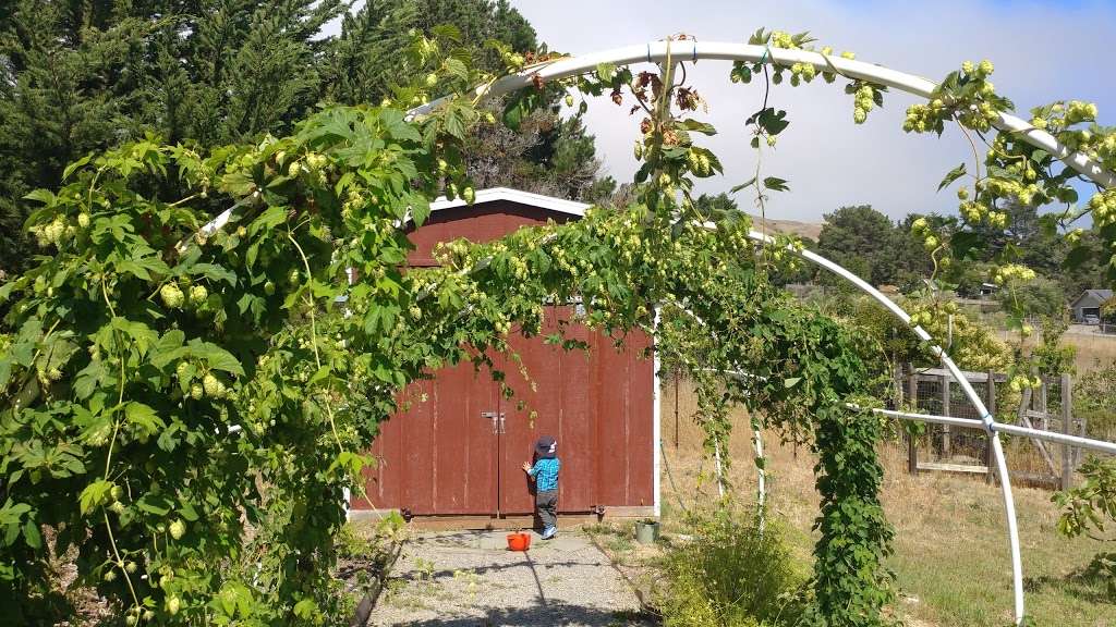 Lingonberry Farm | 12430 CA-1, Point Reyes Station, CA 94956, USA | Phone: (415) 663-1826