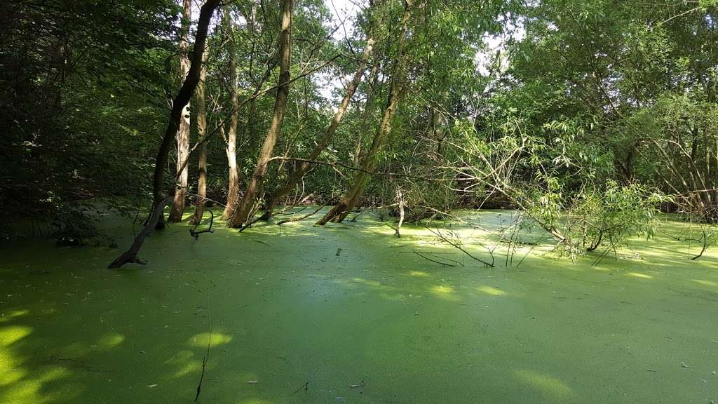 Fishponds Wood Nature Reserve | Wimbledon, London SW19 4TE, UK