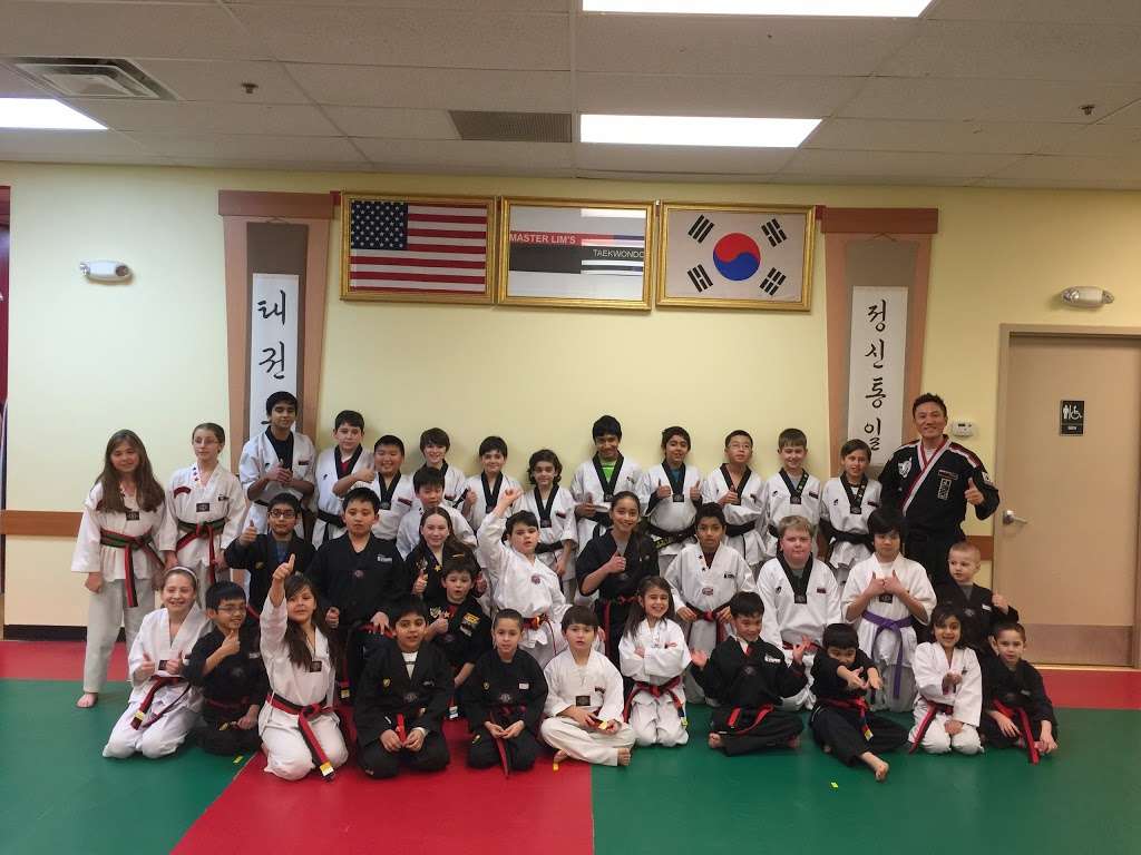 Master Lims TAEKWONDO | 15 NJ-10, Succasunna, NJ 07876, USA | Phone: (973) 252-1717