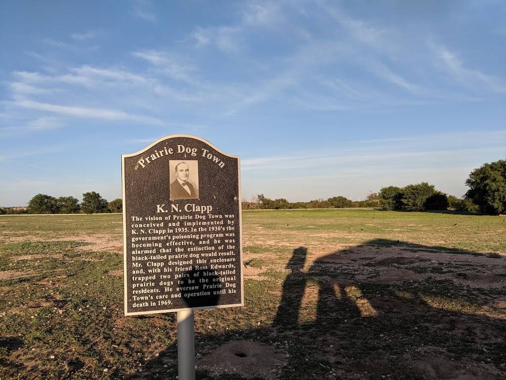 Prairie Dog Town | MacKenzie Park Rd, Lubbock, TX 79401, USA | Phone: (806) 775-2673