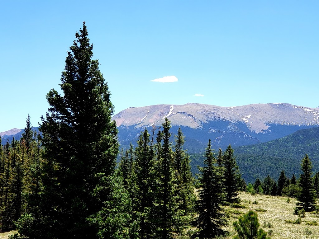 Mueller State Park | 21045 CO-67, Divide, CO 80814, USA | Phone: (719) 687-2366