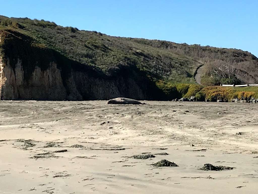 Drakes Beach Bookstore @ Point Reyes National Seashore | Drakes, 1 Drakes Beach Rd, Inverness, CA 94937, USA | Phone: (415) 669-1210