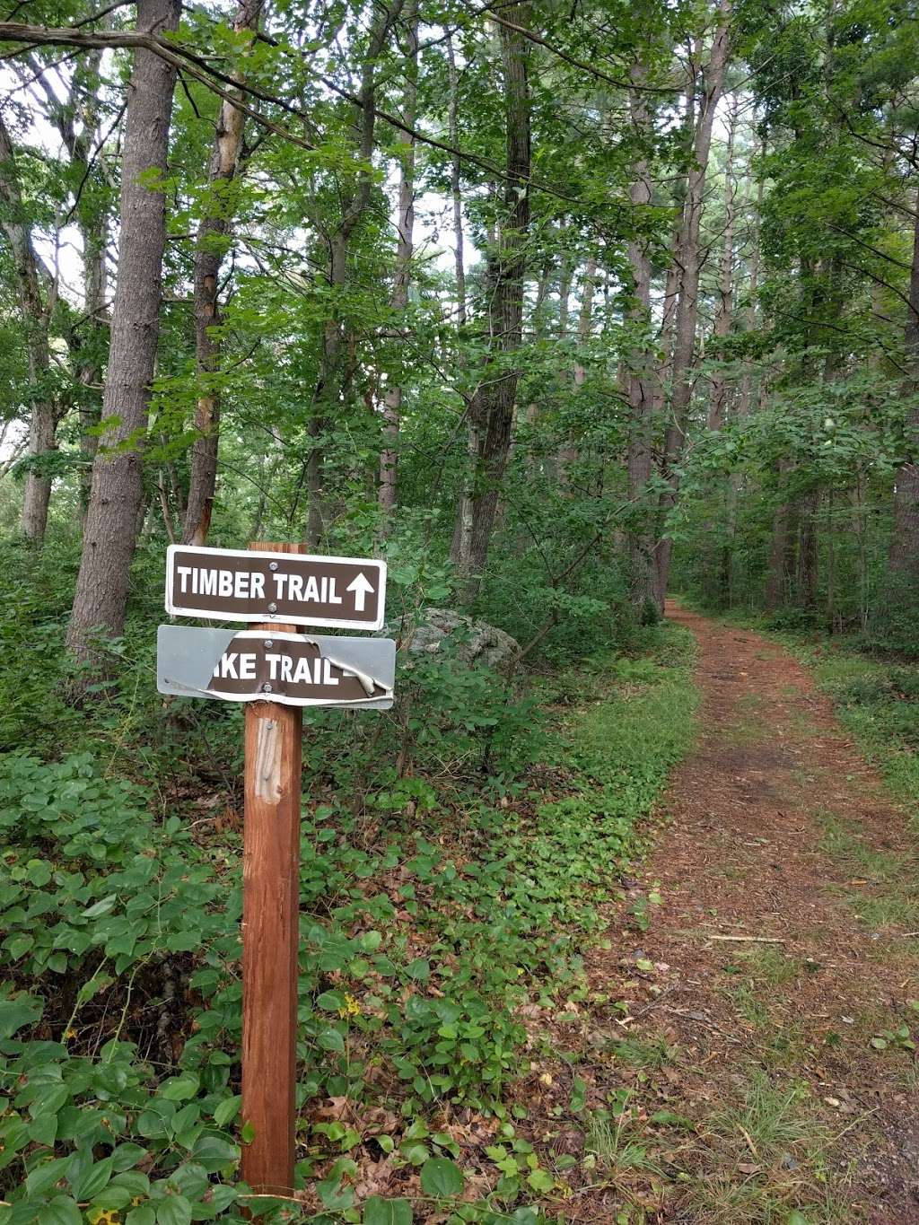 Timber Trail | Concord, MA 01742, USA
