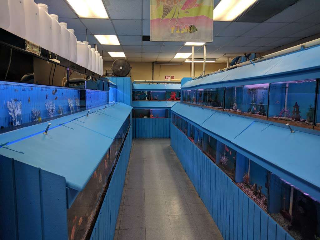 Fontana Tropical Fish & Pets | 9830 Sierra Ave, Fontana, CA 92335, USA | Phone: (909) 829-0211