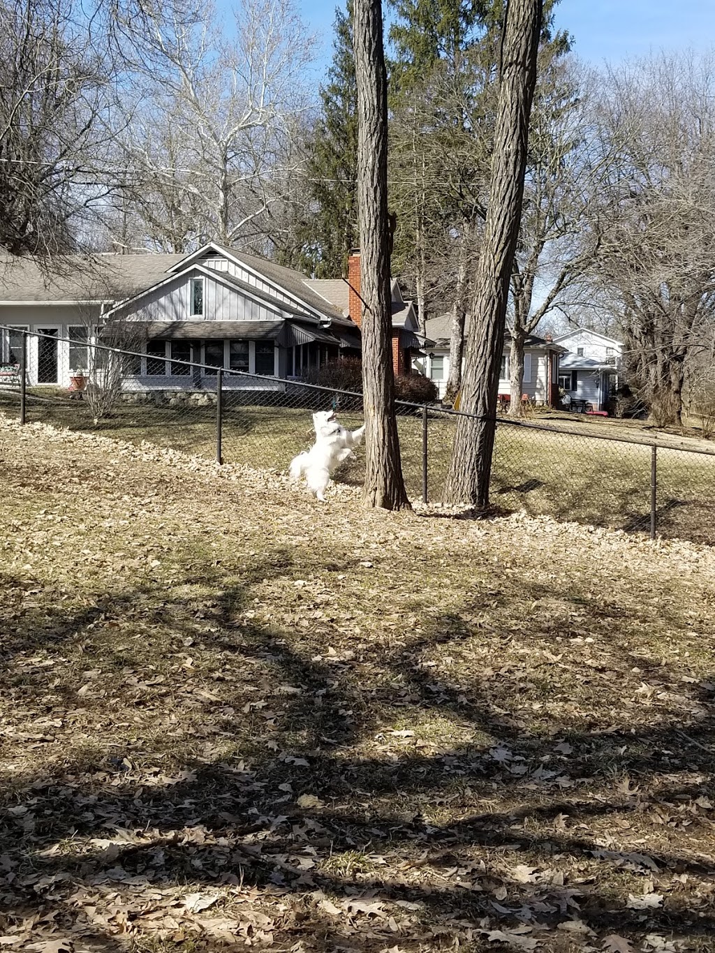 Corby Dog Park | 2200 Northeast Pkwy, St Joseph, MO 64506, USA | Phone: (816) 271-5500