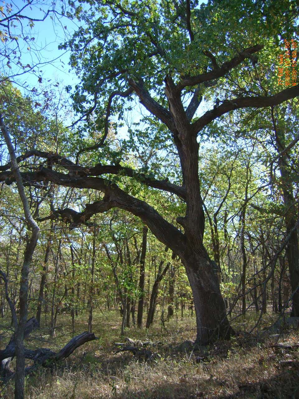 Lawrence Nature Park | S Folks Rd, Lawrence, KS 66049, USA | Phone: (785) 832-3496