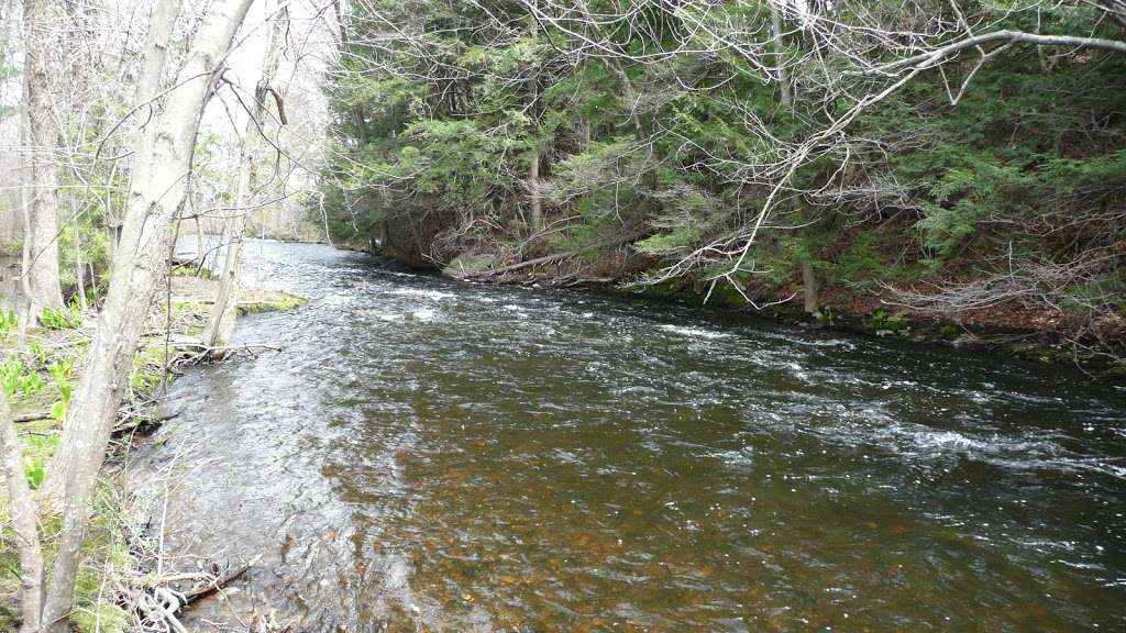 Michael P. Yellick Conservation Area | NBOR-035.0-0036, Northborough, MA 01532, USA